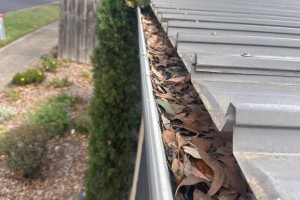 Gutter filled with leaf debris before cleaning