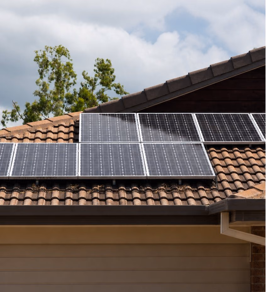 Solar array before bird mesh installation